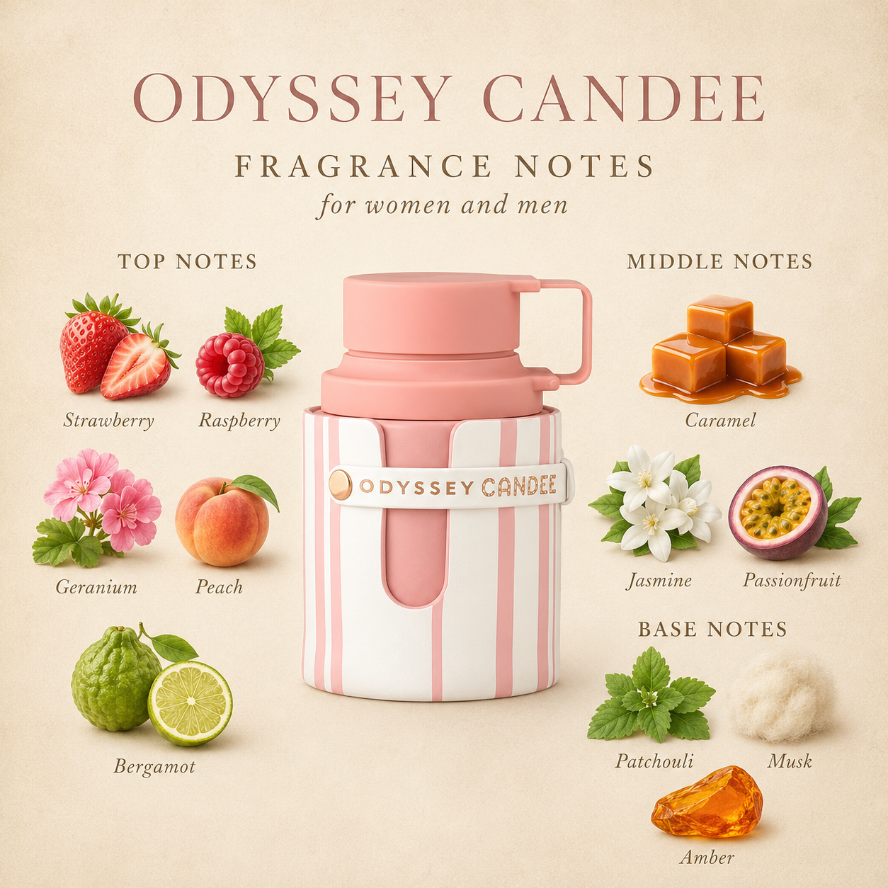 Odyssey Candee