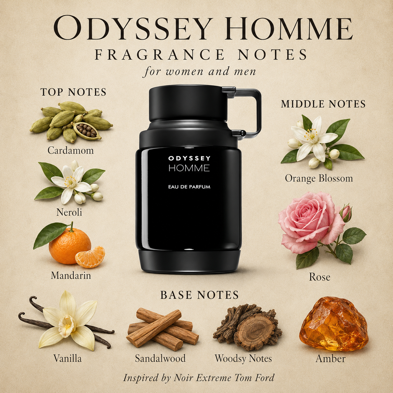 Odyssey Homme