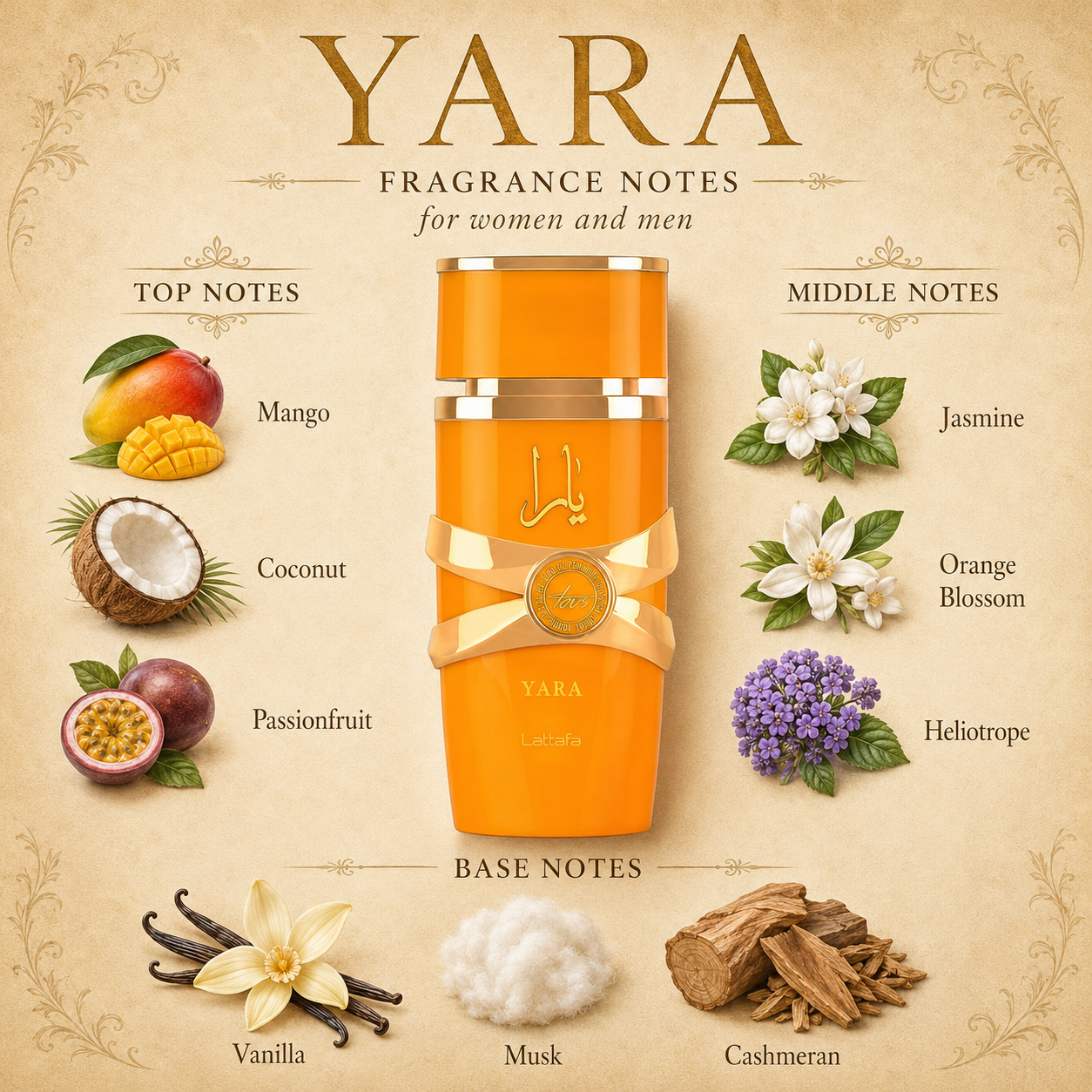 Yara Tous
